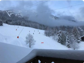 Ski au pied les Houches / Chamonix